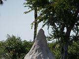 Africa 104 : Africa, Botswana, Makgadikgadi, Nature, Termite Mound